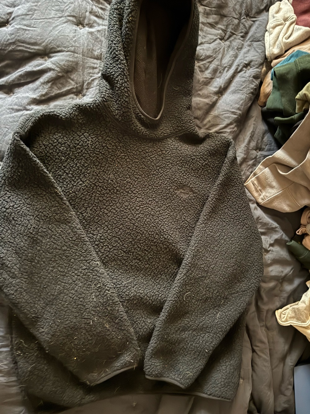Aritzia TNA Polartec Hoodie